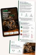 Separation Anxiety in Dogs - Fixed
