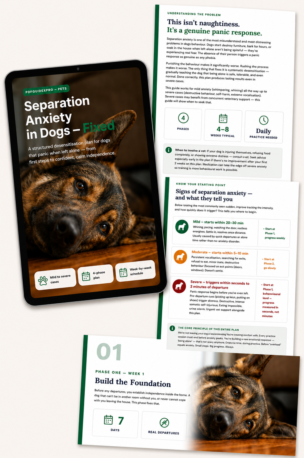 Separation Anxiety in Dogs - Fixed