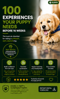 100 experiences Your Puppy Needs Before 16 weeks
