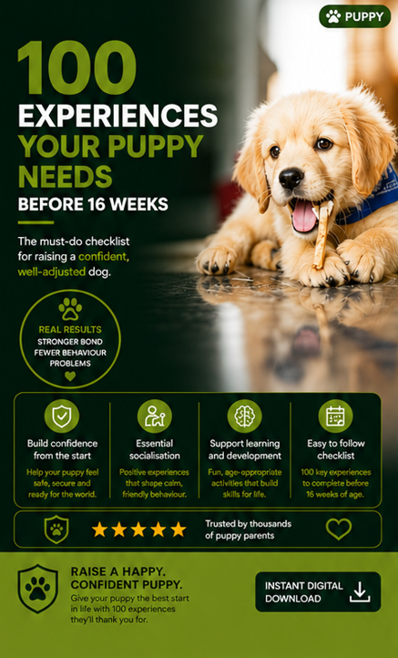 100 experiences Your Puppy Needs Before 16 weeks